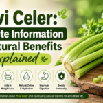 Pravi Celer